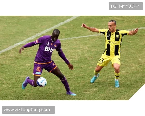 惠灵顿凤凰对阵中央海岸水手精彩直播全程回顾与分析